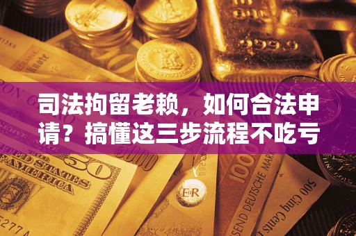 北京司法拘留老赖，如何合法申请？搞懂这三步流程不吃亏！