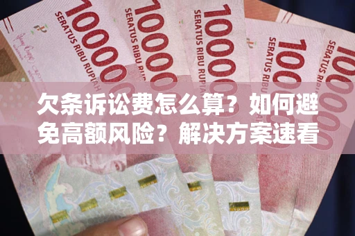 北京欠条诉讼费怎么算？如何避免高额风险？解决方案速看！